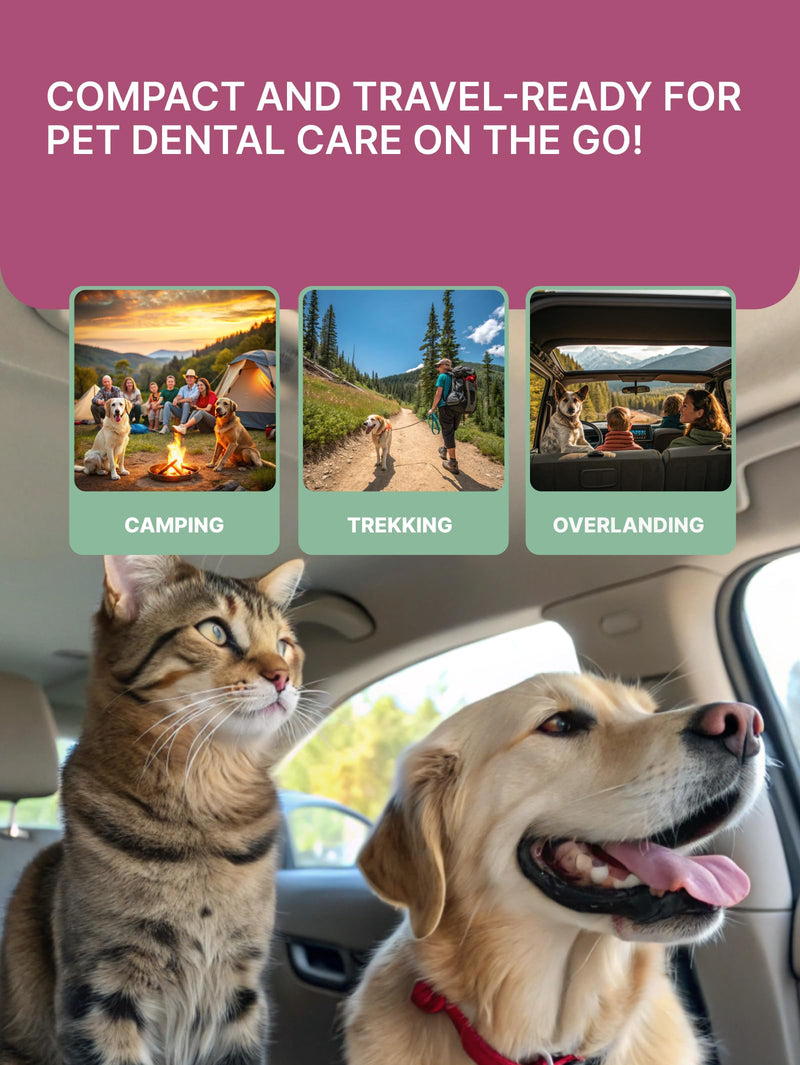 Cat & Dog Teeth Wipes | Cats & Dogs Cleaning Wipes with Finger Toothbrush | No Toothpaste Needed | Dog Breath Freshener & Teeth Cleaning Finger Pads | Tartar Remover | 35 pcs Dental care