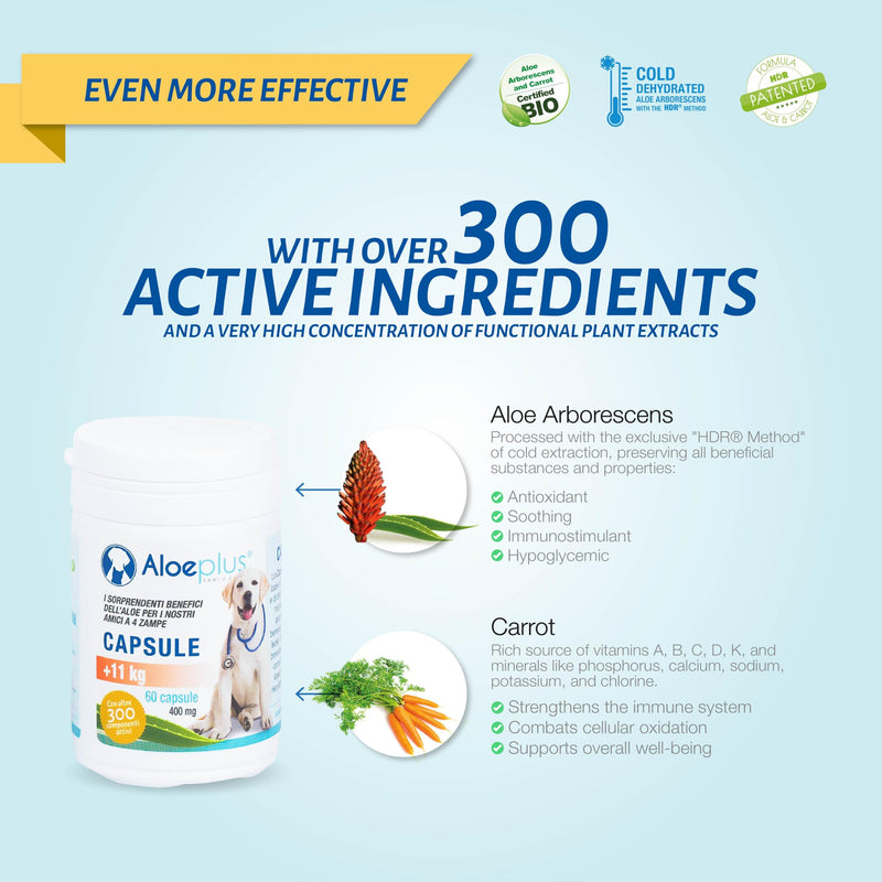 Capsules Dietary Supplement for Dogs Weighing 11+ kg. - Natural Supplement Based on Aloe arborescens - Stimulates The Immune System - for The Well-Being of Dogs Weighing 11 kg and up.