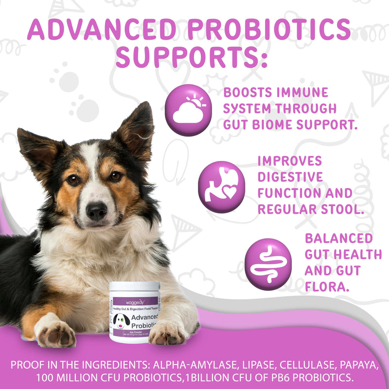 Waggedy Advanced Dog Probiotics Gut and Digestion Food Topper – Probiotic Powder with Digestive Enzymes & Papaya – Gentle Probiotics for Dogs 6+ Weeks – Supports Gut Balance, Comfort & Immune Health 4 oz