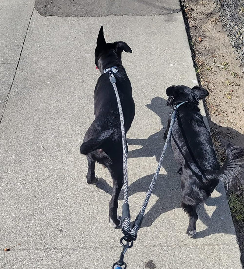 Double Dog Leash Coupler, Tandem Leash for Two Dogs, No Tangle 360° Swivel Rotation Dual Strong Dog Leash Splitter, for Large Medium Small Dogs (33 inch- Large) Black Large (1/2"D x 33"L) - BeesActive Australia