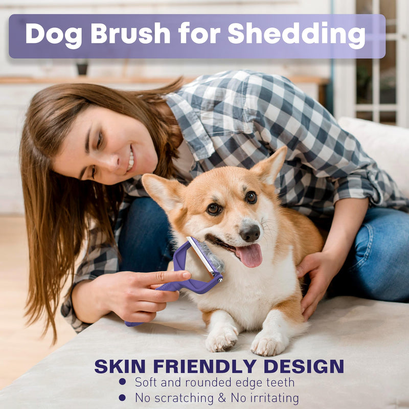 Dog Grooming Brush, Dematting Comb for Dogs and Cats, Pet Grooming Rake for Dogs, Cat Undercoat Deshedding Brush, 3 in 1 Upgraded Version Undercoat Rake for Thick Hair Pets 3 SIDES(3 IN 1) PURPLE - BeesActive Australia