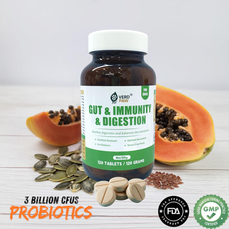 Probiotics for Dogs – Dog Probiotics for Gut Health & Digestive Support, Prebiotics, Digestive Enzymes & 3 Billion CFU Probiotic Blend, Immune Support Supplement for Dogs, 120 Tablets