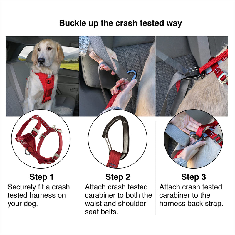 Kurgo Tru-Fit Enhanced Strength Dog Harness - Crash Tested Car Safety Harness for Dogs, No Pull Dog Harness, Includes Pet Safety Seat Belt (Black, Large) Black Large (Pack of 1) - BeesActive Australia