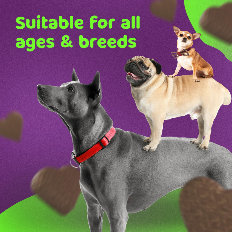 PROBIOTIC CHEWS - dog probiotics for gut health - digestive enzymes for dogs - Improve digestion, reduce diarrhea, itching and discomfort and eliminate foul odours. 120 Chews per tub