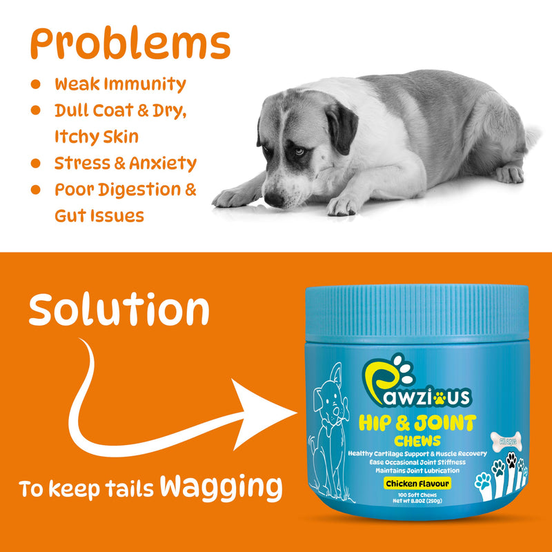 25 In 1 Dog Multivitamin with Glucosamine Chondroitin, Minerals with Omega 3 Fish Oil and Zinc Dog Vitamins and Supplements for Heart, Digestion, Skin & Coat Care, Chicken Flavored 100 Chews