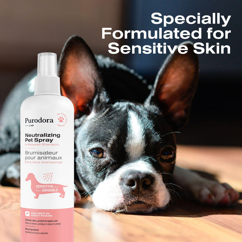 Between-Bath Pet Odor Eliminator Spray for Sensitive Skin 8 Oz. | Hypoallergenic & Non Irritating Dog Smell Eliminator for Shiny Fur | pH-Balanced Odor Eliminator for Pets | Aloe & White Tea Scent - BeesActive Australia