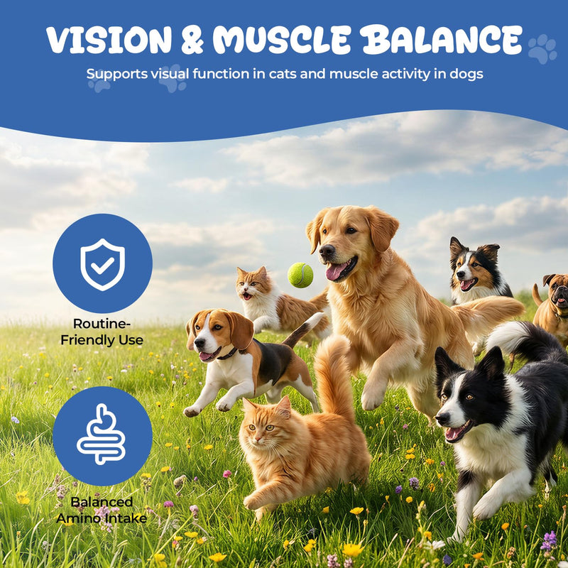 Taurine Powder Supplement for Dogs & Cats, Essential Amino Acid Support for Heart, Vision & Muscle Function, Daily Pet Nutrition Powder, 60 g