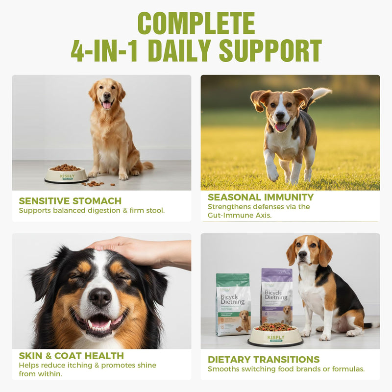 Probiotics for Dogs – 2 Billion CFU Gut & Digestive Health Chews, Relieves Diarrhea, Gas & Loose Stool, 6 Strains Including Bacillus Subtilis with Prebiotics, Soft Chews for Immune & Allergy Support 120 Soft Chews