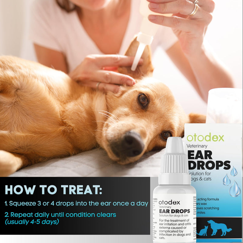 Dog Ear Cleaner | Dog Ear Drops | Ear Drops For Dogs | Ear Mite Treatment For Dogs | Cat & Dog Ear Infection Treatment | Ear Cleaner For Dogs UK | Dog & Cat Itchy Ear Treatment – 2 Packs Sold by UMDA