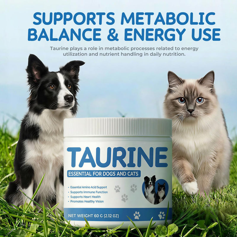 Taurine Powder Supplement for Dogs & Cats, Daily Amino Acid Support for Heart Function, Muscle & Metabolic Balance, Pet Supplement for Long-Term Nutrition, 60 g