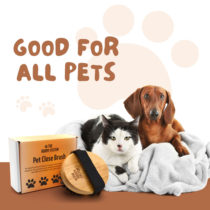 The Buddy System Pet Close Brush, Soft Touch Oval Palm Brush - Bamboo Massage Handheld with Soft Boar Bristles and Elastic Band for Dogs and Cats 1-pack Oval Brush - BeesActive Australia