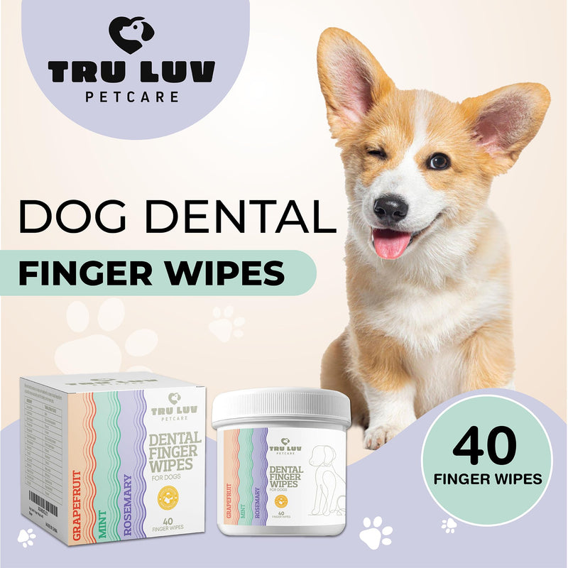 40 Dog Teeth Wipes - Dog Teeth Cleaning Products - Dog Dental Wipes - Teeth Cleaner for Dogs - Dog Tooth Cleaner - Dental Care for Dogs - Dog Tooth Brushing Kit - Dog Teeth Cleaning Kit - Dog Wipes - BeesActive Australia
