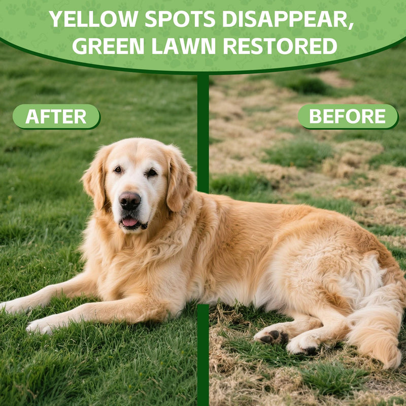 Cranberry Supplement for Dogs – Digestive Enzymes + Cranberry + DL Methionine –Pee Grass Spot Saver Caused by Dog Urine, Grass for Dogs, Dog Pee Green Grass Support, Lawn Spot Care Drops, 2 oz