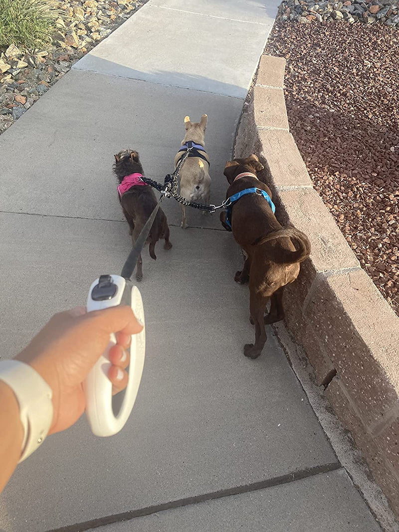 3 Way Dog Leash Coupler Heavy Duty No Pull Multiple Double Tangle Free Trio Nylon Bungee Cord Stretchy Sturdy Pups Lead for Small Medium Dogs Training Walking Doggy Puppy - BeesActive Australia