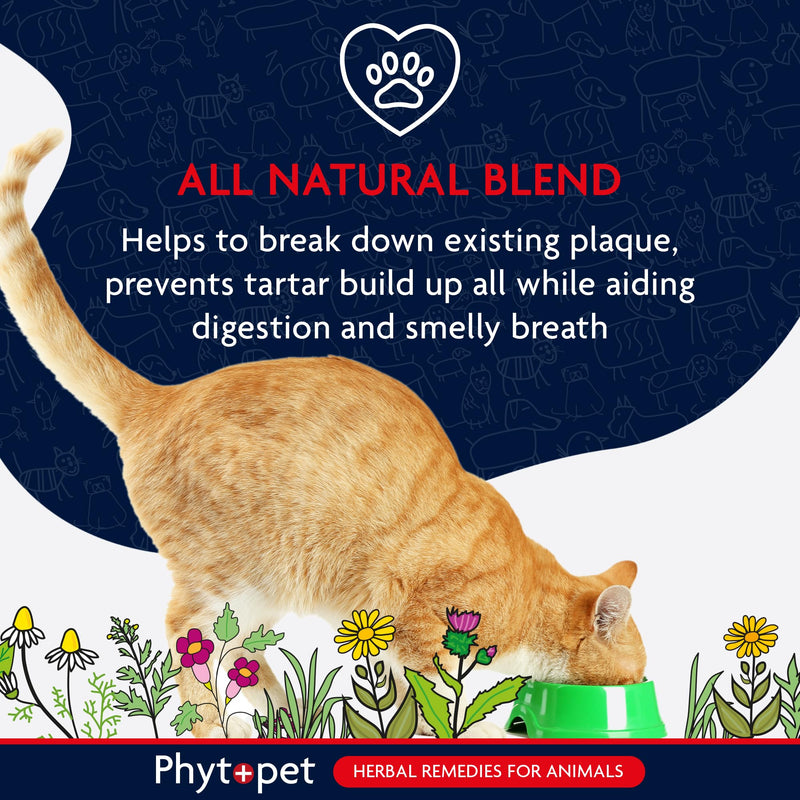 Phytopet TartarX Plaque and Tartar Remover for Teeth, Cat and Dog Breath Freshener, All Natural Cat and Dog Dental Care, 300g - 100% Herbal Phytopet Pet Supplies