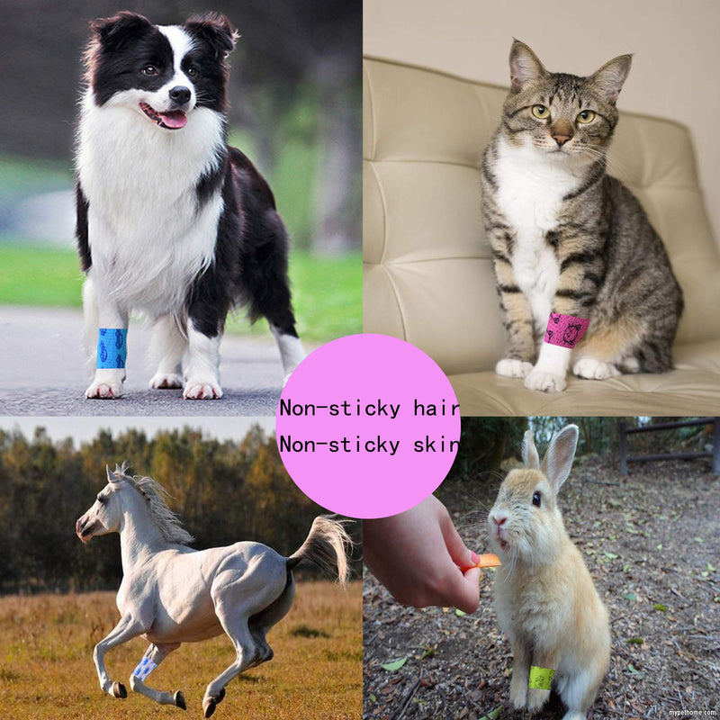 Stmandy Vet Tape wrap, wrap Bandage 2 inch 6 Rolls,Adhesive wrap Bandage for The Person or The Pets (cat,Dogs,Horse and Other Animal) who was injure or Have Wounds (Cartoon 6pcs) 2 Inch (Pack of 6) - BeesActive Australia