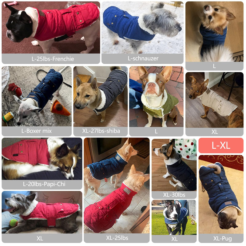 KYEESE Dog Coats Winter Dog Jacket Padded Sherpa Windproof Warm Dog Coats with Leash Hole Dog Clothes X-Large 1# Blue - BeesActive Australia