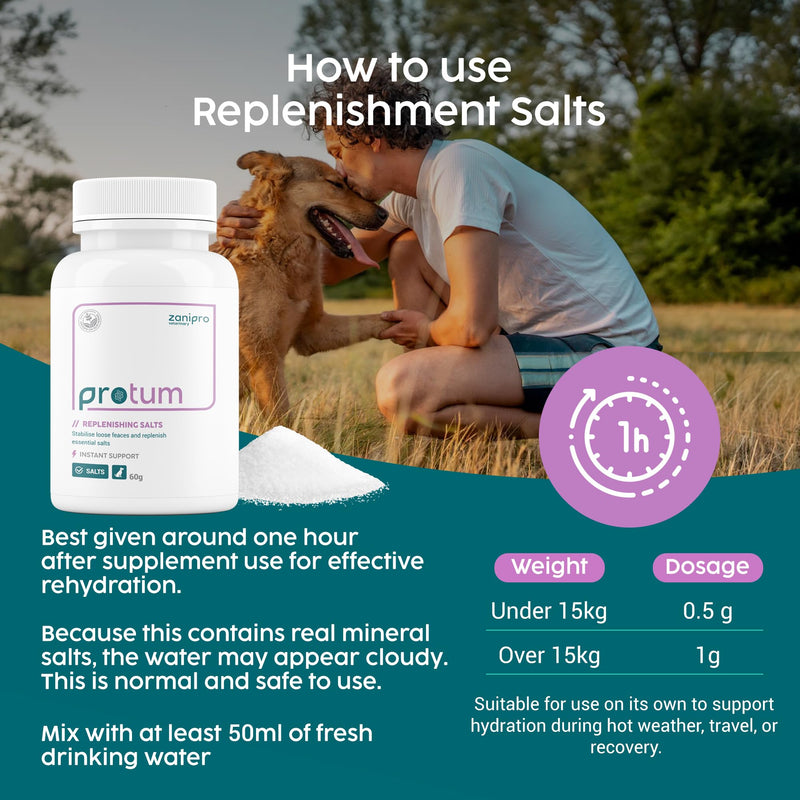 Dog Diarrhea Treatment, Fast Acting Diarrhea Relief for Dogs, 250ml, Dog Tummy Settler for Upset Stomach, Soothe Digestion & Firms Loose Stools, Fully Natural Tummy Liquid Only