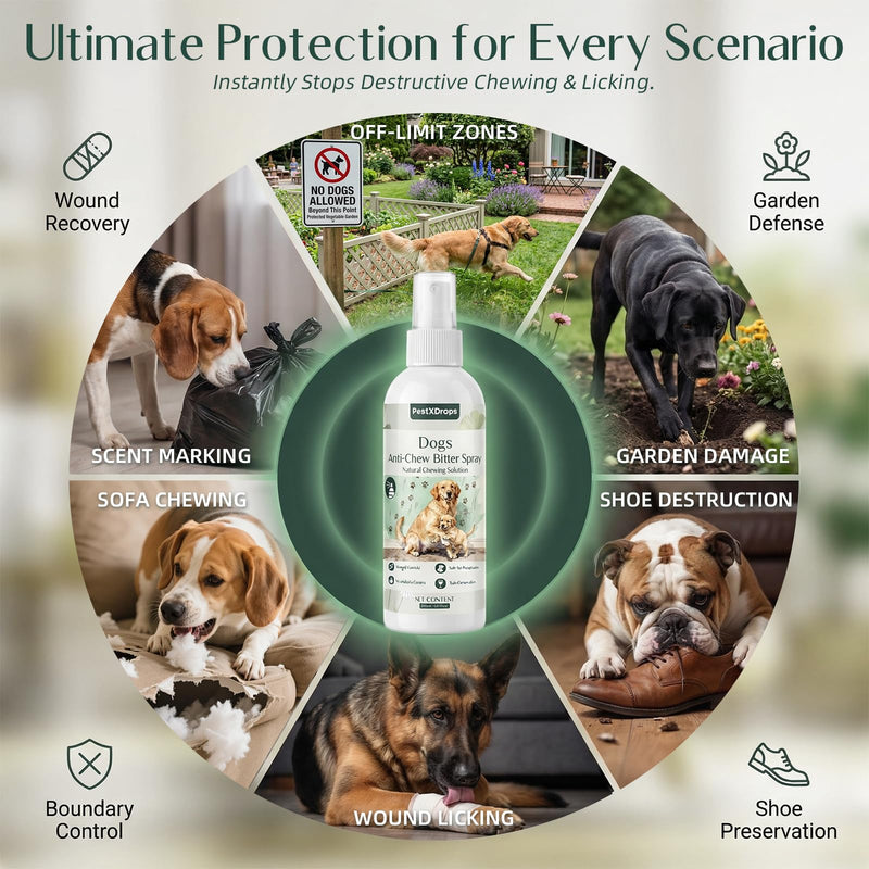 Dog Bitter Deterrent Spray for Furniture, Dog No Chew Spray to Stop Dogs & Puppies from Chewing, Biting, Licking, Peeing, Natural Stop Chewing Dog Spray& Behavior Corrector,200ml