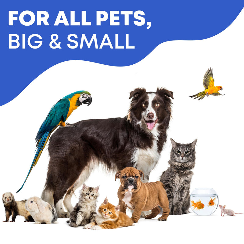 Beloved Pets Pet Eye Wash Drops & Wipes Help Prevent Allergies Symptoms, Infections, Runny, Dry Eyes, Tear Stains - Helps with Abrasions, Irritations - Dirt Crust & Discharge Remover (Eye Wipes) Eye Wipes