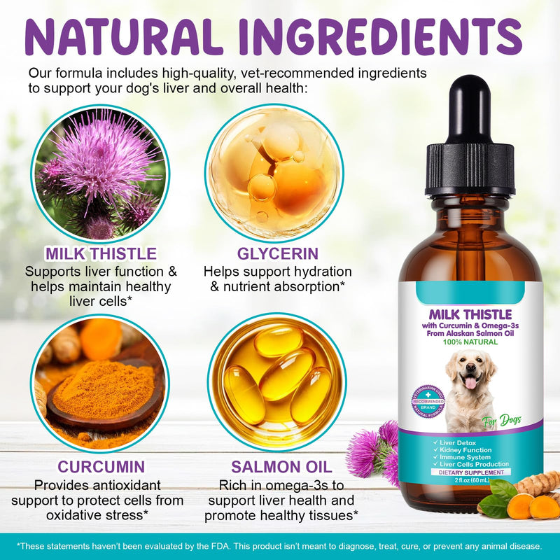 Milk Thistle for Dogs | 60ml Liquid Supplement with Curcumin & Omega-3s | Supports Normal Liver Function, Kidney Health, and Natural Immune Defences | Gentle Botanical Formula for Daily Vitality milk thistle liver detox