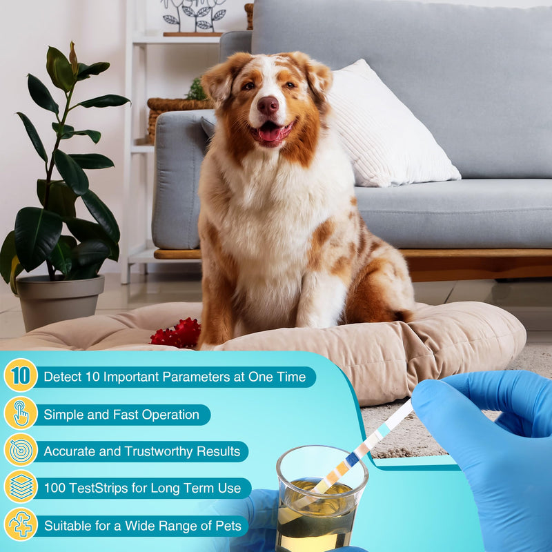 100 x Pet Urine Testing Strips, 10 in 1 UTI Test Kit for Cat & Dog, Multi-Parameter Urinalysis Reagent Strips: Leukocytes, Urobilinogen, Protein, Ph, Blood, Ketone, Bilirubin, Glucose & More - BeesActive Australia