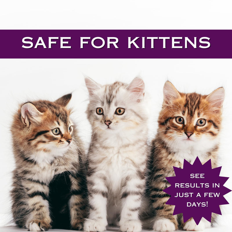 Feline Ring Care | Control & Help with Cat Ringworm, Mange, Dermatitis, Dog Paw Yeast. Also works on Dogs, Hamsters, Guinea Pigs, Rabbits, etc. 8 oz Ready to Use Spray for Cats and Itch Relief