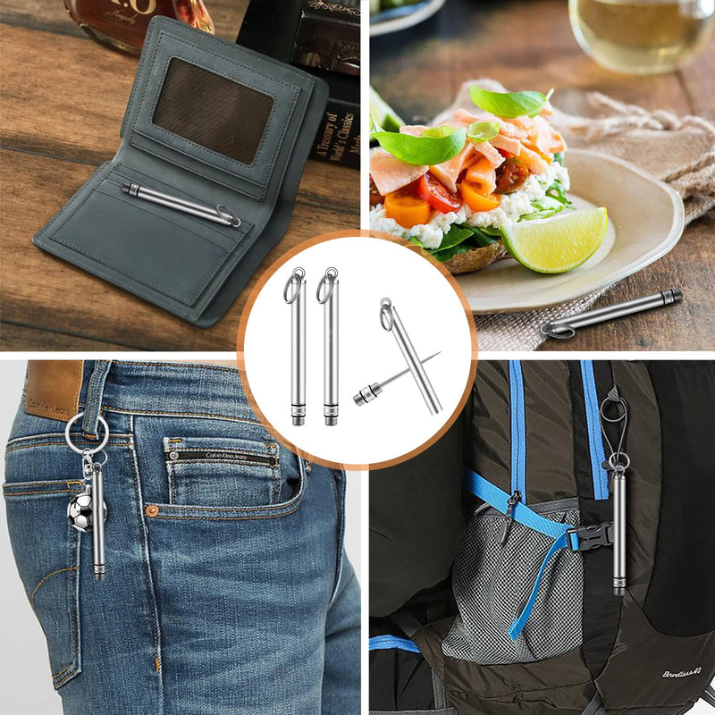 Portable Mini Titanium Toothpicks Holder, 2 Pieces Stainless Steel Metal Toothpicks Reusable Toothpick for Home Outdoor 2pcsSilver - BeesActive Australia