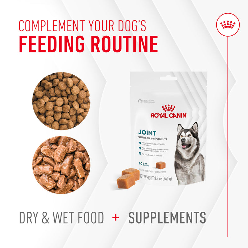 Royal Canin Joint Dog Supplement Soft Chews for Adult Dogs, 60 Count 8.47 Oz