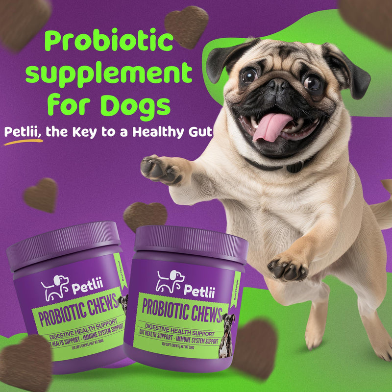 PROBIOTIC CHEWS - dog probiotics for gut health - digestive enzymes for dogs - Improve digestion, reduce diarrhea, itching and discomfort and eliminate foul odours. 120 Chews per tub