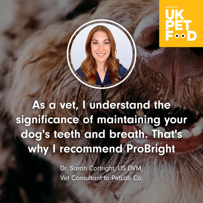 PetLab Co. ProBright® Dental Powder - Dog Breath Freshener - Teeth Cleaning Made Easy – Targets Tartar & Bad Breath - Formulated for Medium Dogs