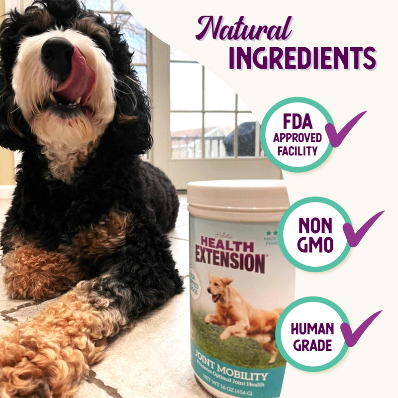 Health Extension Chondroitin with Glucosamine for Dogs, 8oz - Arthritis Pain Relief, Joint & Hip Supplement, Cheese Flavored Powder 8 Oz
