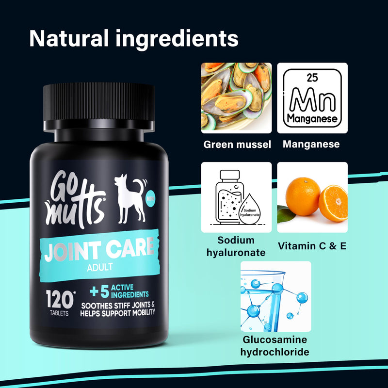 GOMUTTS Joint Supplements for Dogs, 120 Dog Joint Tablets with Glucosamine, Green Mussel, Dog Joint Supplements for Adult, Promote Joint Health, Reduce Stiffness & Inflammation, Enhance Mobility 120 Tablets