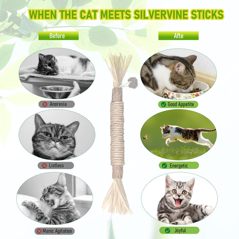 BAWAN Catnip Toys‖ Silvervine for Cats: Cute Cat & Kitten Toys for Indoor Cats Interactive‖ Cat & Kitten Teething Chew Toys for Aggressive Chewers‖ Silvervine Sticks Cat Dental Toy (3PCS) 3PCS - BeesActive Australia