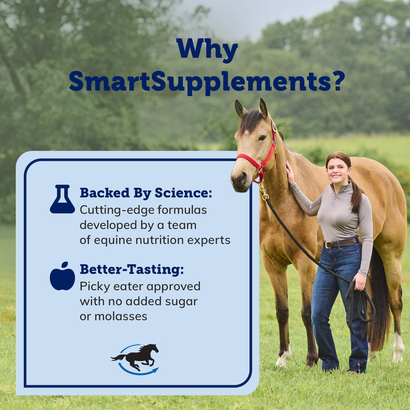 SmartPak SmartDigest Ultra Paste Digestive Health and Support Horse Supplement | Provides Prebiotics, Probiotics, Digestive Enzymes, Butterscotch Flavor, Pack of 6 Tubes - PawsPlanet Australia