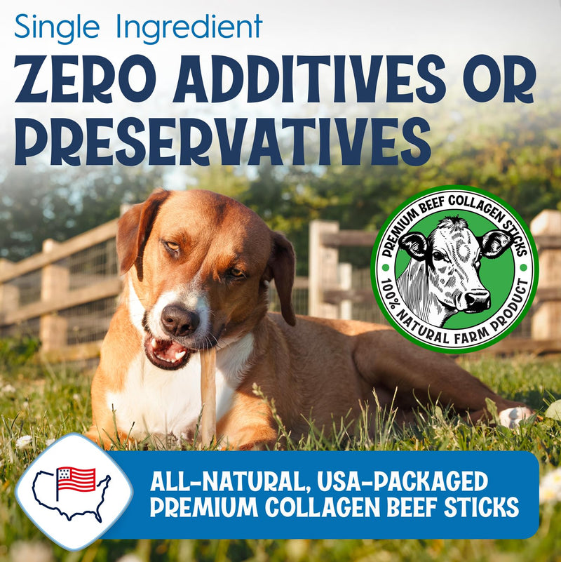 6" Collagen Sticks for Dogs – Low Odor Long-Lasting Bully Stick & Rawhide Alternative, Single Ingredient Beef Bone, High Protein Dental Treat, Vet Approved, Improves Joint Health – 20 Pack