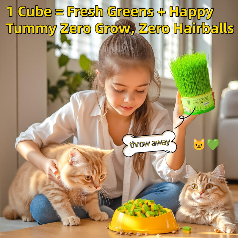 Cat Toy Grass Treats Freeze Dried 2 in 1 60g Fish Oil Chicken Cats Chew Grass Pellet Kitten Catnip for Hairball Removal Kitty Bite Snack for Cleaning Teeth Kitten Dental Food Indoor (2.12oz) 2.12 Ounce (Pack of 1)