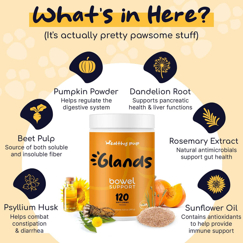 Glands Bowel Support - 120 Delicious Scoot Soft Chews for Scooting, Healthy Anal Glands, and Digestive Health - Made with Pumpkin Powder for Dogs - PawsPlanet Australia