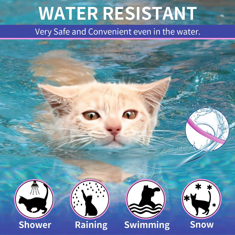 4 Pack Flea Collar for Cats, 32 Months Flea and Tick Prevention for Cats, Waterproof Cat Flea Collar, Natural Cat Flea and Tick Treatment, Adjustable Flea and Tick Collar for Cats Kittens(Blue&Pink) - BeesActive Australia