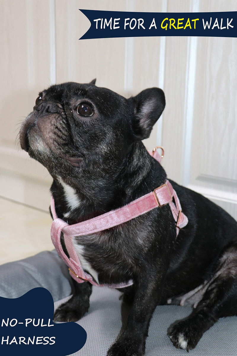 ARING PET Dog Halter Harness, Velvet Dog Harness, No Pull Dog Halter Harness, Adjustable Heavy Duty Dog Harness for Small Medium Large Dogs Small (Pack of 1) Pink - BeesActive Australia