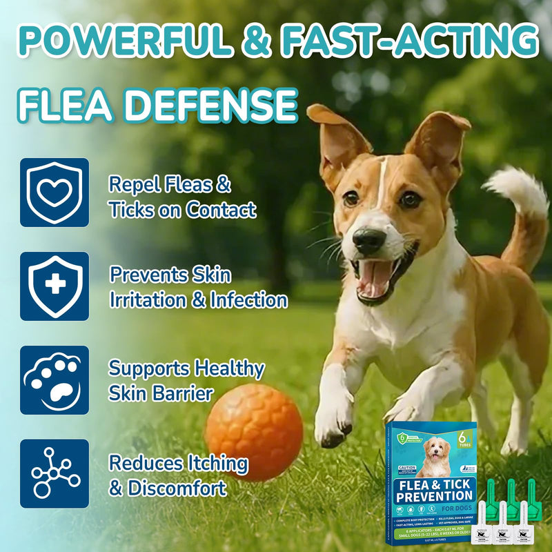Flea and Tick Prevention for Small Dogs, 6-Month Supply Dog Flea and Tick Treatment Drops, Topical Fast-Acting Dog Flea Treatment for Small Dogs Up to 5 to 22 lbs Small Dogs (5 to 22 lbs)