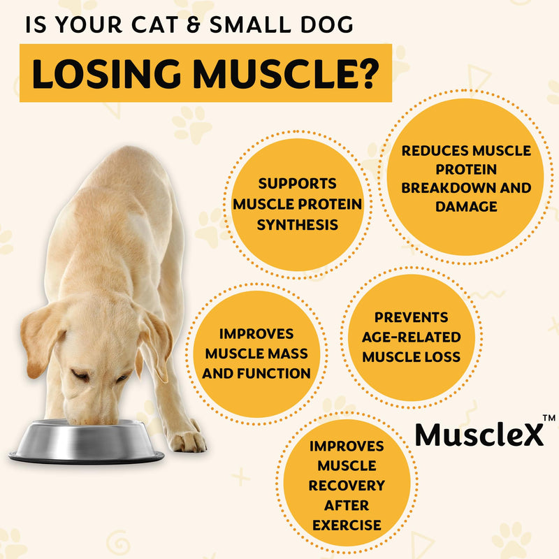 MuscleX™ Canine Muscle Formula Cats & Small Dogs with 300 mg CaHMB & Vitamin D3 - Natural Muscl Building Formula-Helps Reduce Muscle Loss Due to Normal Aging & Improves Recovery from Injury(180 Caps)