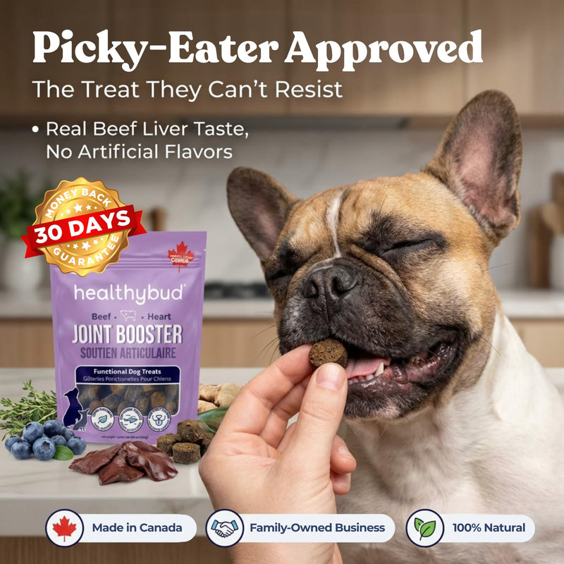 healthybud Hip & Joint Soft Chews for Dogs – Grain-Free Functional Dog Treats with Glucosamine, Chondroitin & Green Lipped Mussel – Daily Mobility Support – for All Ages & Breeds – 130 g (4.6 oz) 4.6 Ounce (Pack of 1)