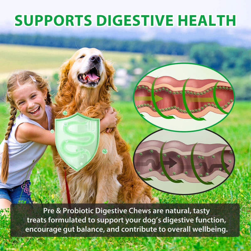 Probiotics for Dogs - Chewable Pre Probiotic Digestive Chews for Dog, Support Gut Health & Itchy Skin Relief, Pet Supplement Soft Chews for Dogs - 30 Chews 30pc