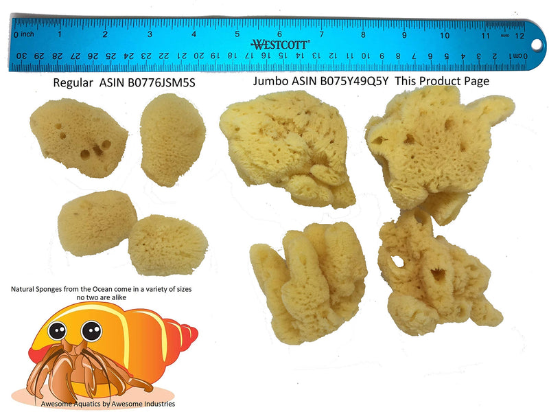 Awesome Aquatic 4-Pack of Hermit Crab Sea Sponges (Jumbo 4 pk) Jumbo 4 pk - PawsPlanet Australia