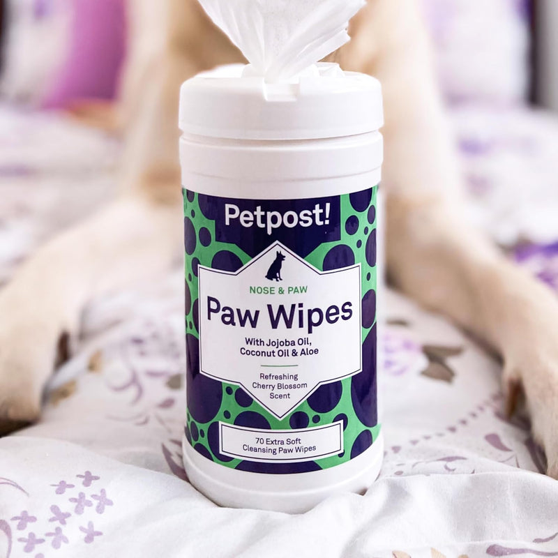 Petpost | Paw Wipes for Dogs - Nourishing, Revitalizing Dog Paw Cleaner with Coconut Oil, Jojoba Oil, and Aloe - Ultra Soft Cotton Pads - Cherry Blossom Scent 70 ct. - BeesActive Australia