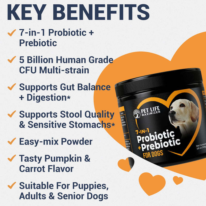 7-in-1 Probiotic + Prebiotic for Dogs. For Digestive Health, Yeast, Itchy Skin, Itchy Ears, Paw Licking. Dog Gut Health Probiotics Supplement 5 Billion CFU Multi-Strain Formula. Daily Powder Topper