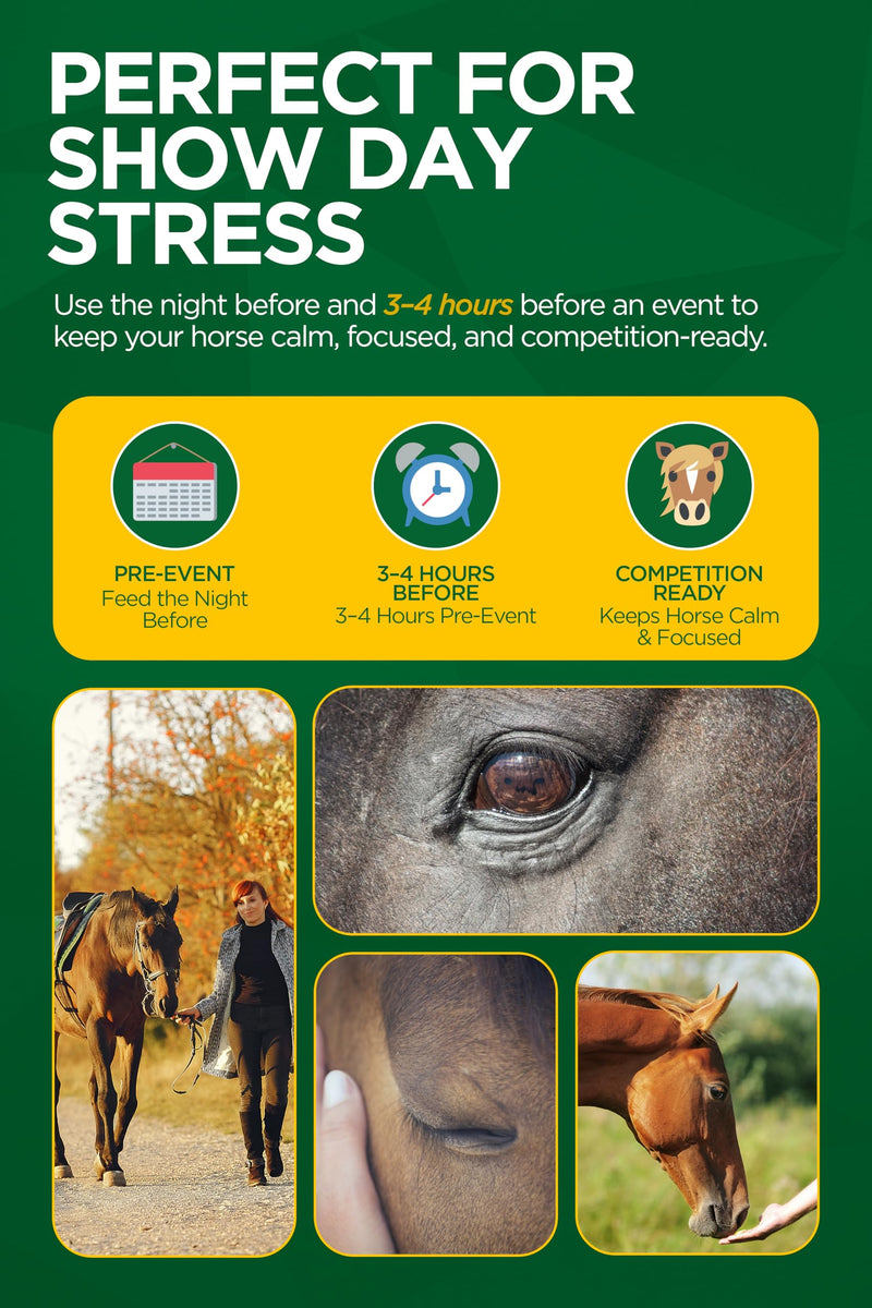 TRM Good as Gold Horse Paste, Tryptophan, Magnesium and B Vitamins, Supports Muscle Relaxation and Ride-Ready Focus, Horse Calming Supplement, Fast Acting Equine Calming Paste for Horses, 3 Pack FBM 3 qty x 35g