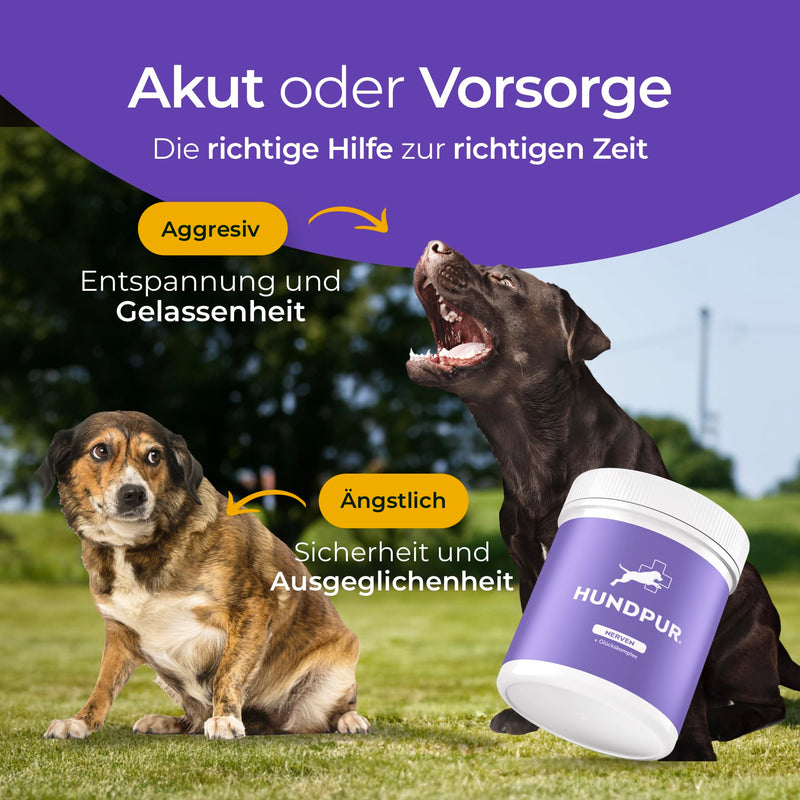 Hundpur Nerves 300 g - Pellets for dogs against stress and anxiety - with St. John's wort, lavender and magnesium - strengthening the dog's nerves - Made in Germany - BeesActive Australia