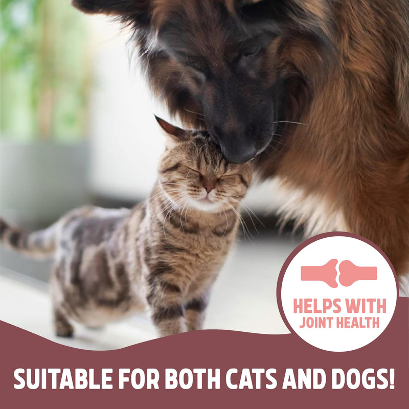 Rosewood Scottish Salmon Oil for Dogs and Cats – Natural, Rich in Omega 3, 6 & 9, Fish Oil Food Supplement for Joint Mobility, Immune Support, Itchy Skin and Healthy Coat (500ml) 500ml